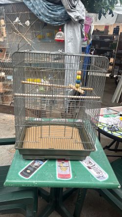 BIRD CAGE was