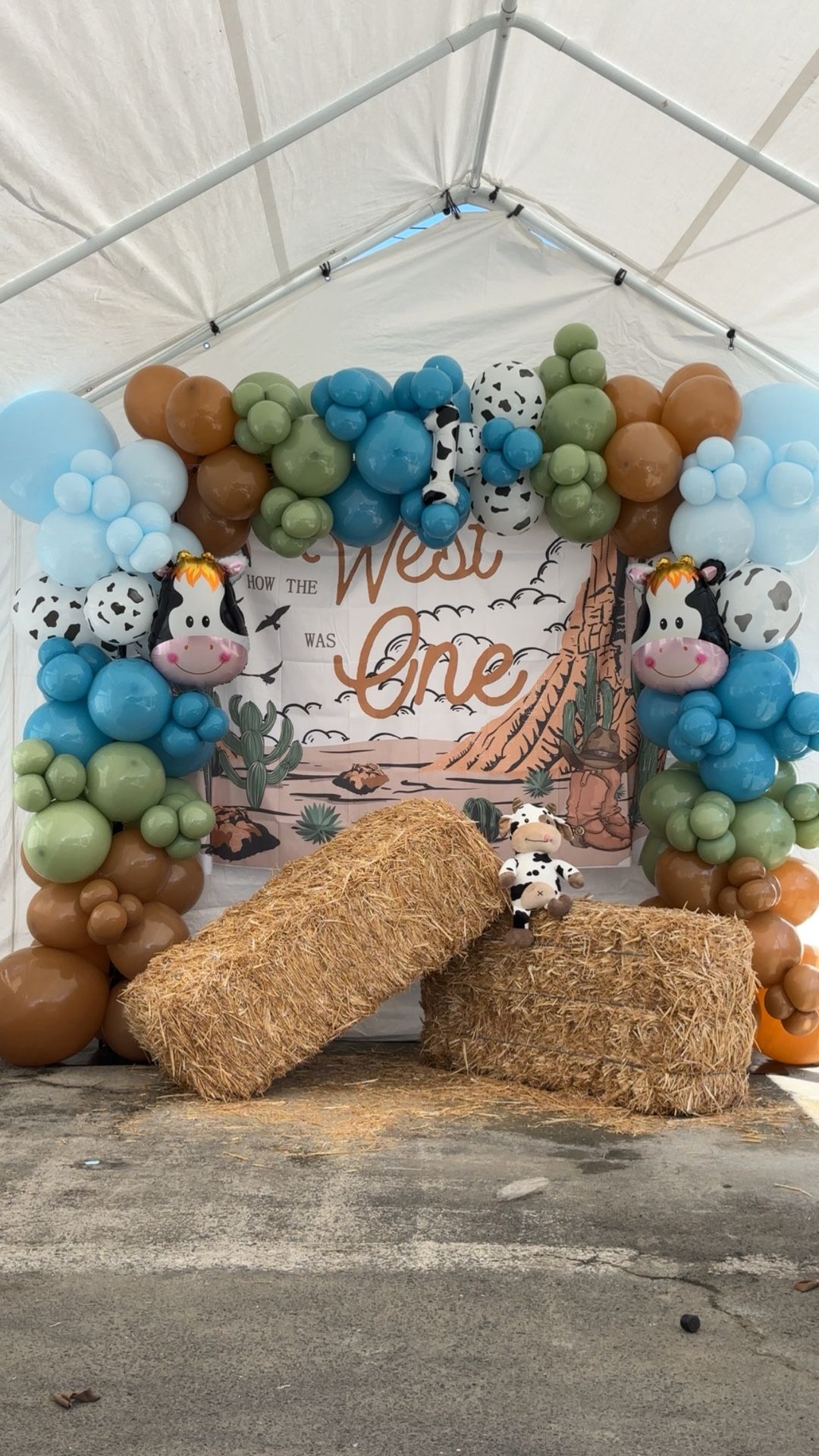 Balloon Garland