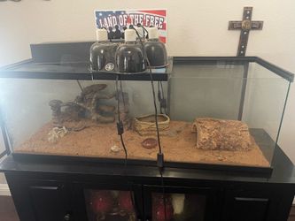 Free Reptile tank