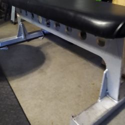 Star Trac Bench 