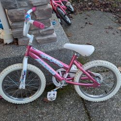 Girl Bike For 4.5 To 6 Year Olds 