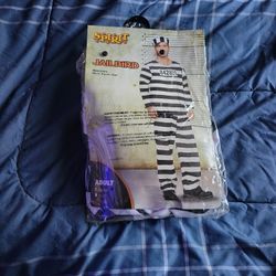 Jail Bird Costume