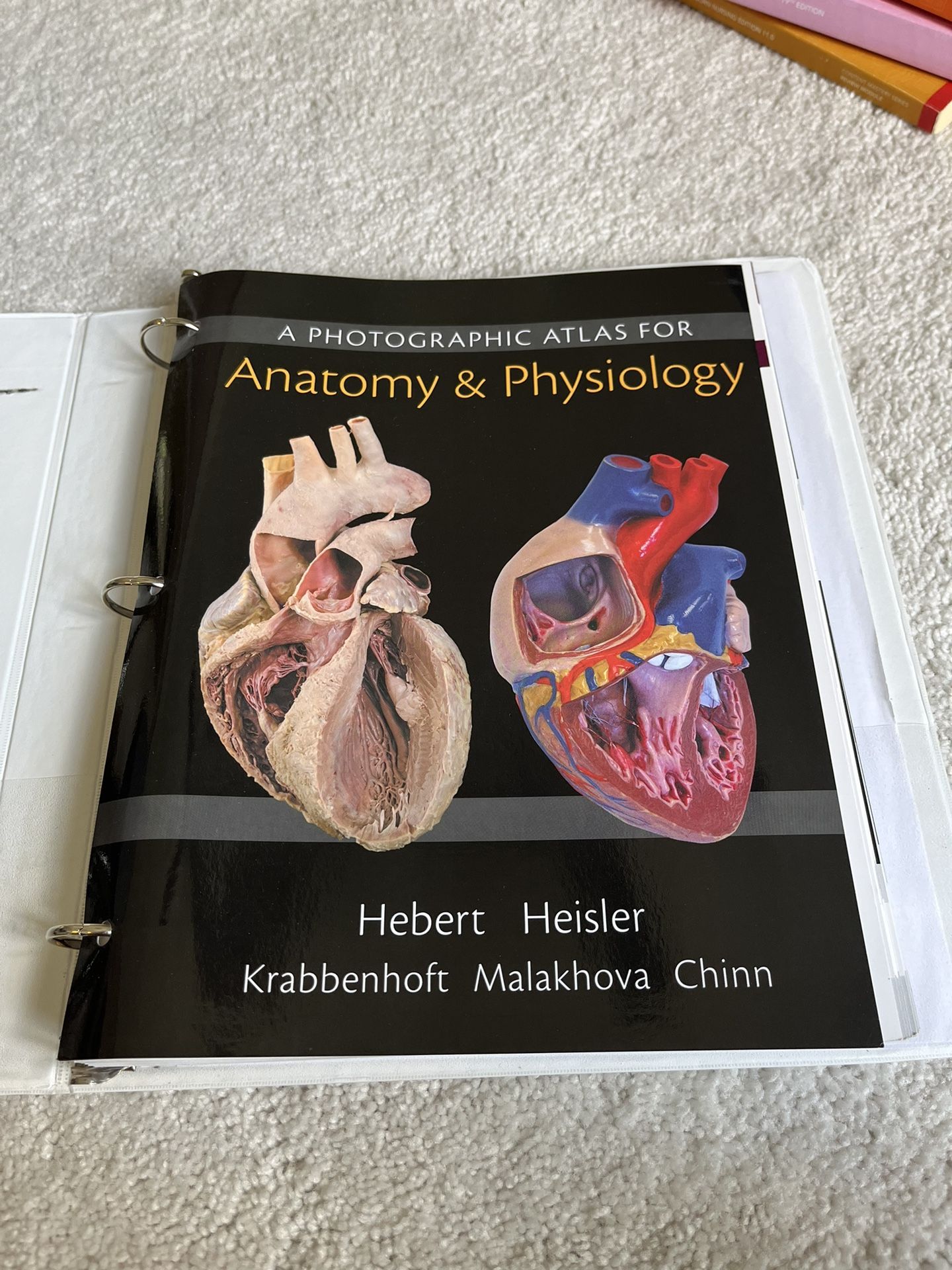 Anatomy And Physiology Atlas