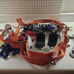 Tree Climbing Gear