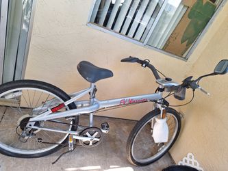 Electric bike EV WARRIOR premiere collector edition