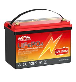 #6 New 12V 100Ah LiFePO4 Lithium Battery