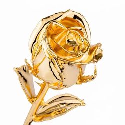 24k Gold Dipped Roses