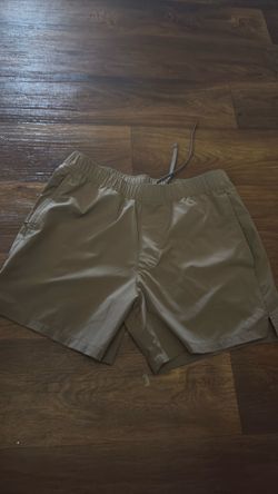 medium hollister