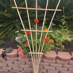 Cedar Fan Trellis 