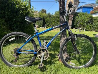 Old Diamondback Trail Bike