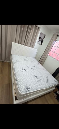 Bed frame with Mattress