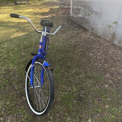 Blue Schwinn Del Mar Beach Cruiser
