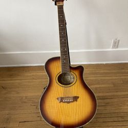 Washburn Acoustic with tuner and stand