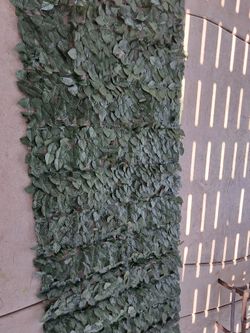 Gui De Vegetación Artificial