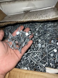 Roofing Nails