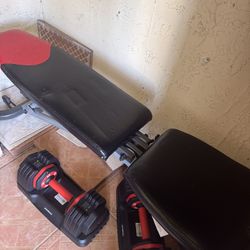 Bowflex Weight Bench 