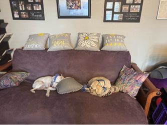 FREE High Quality Futon for pick up