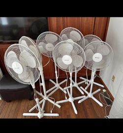 6 Penguin Standing Fans $25 each