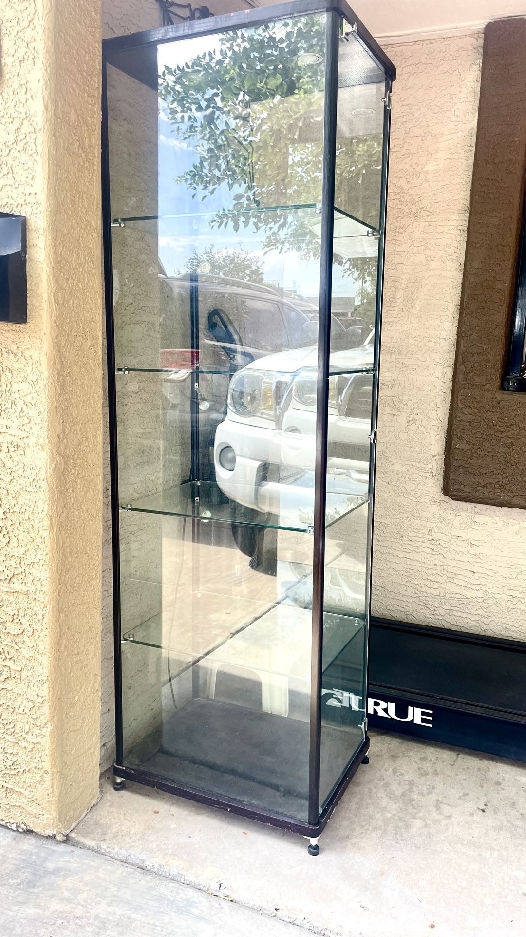 Modern Glass Curio cabinet