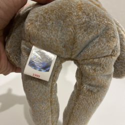 1999 signature bear beanie baby errors online