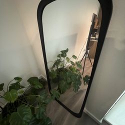 Modern 60" Black Frame Mirror — Clean, Designer Look