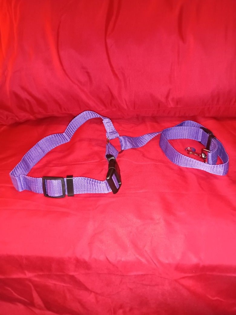 XL Dog Seat Belt Leash