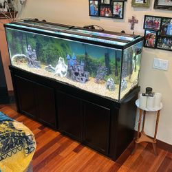 135 Gallon Aquarium