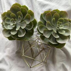Ikea decor set | fake plants