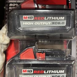 Two Pack Battery 