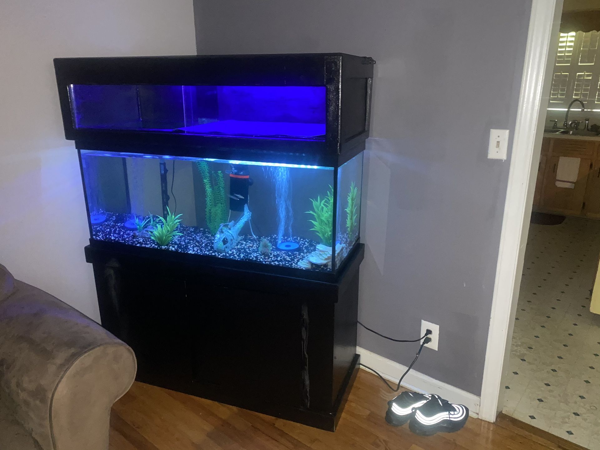 75 Gallon Aquarium with Custom Built Nesting Dock
