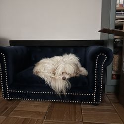 Dog couch 