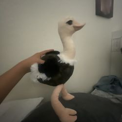 ostrich  I got it in solvang 15$