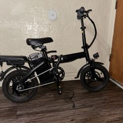 Electric Bike 