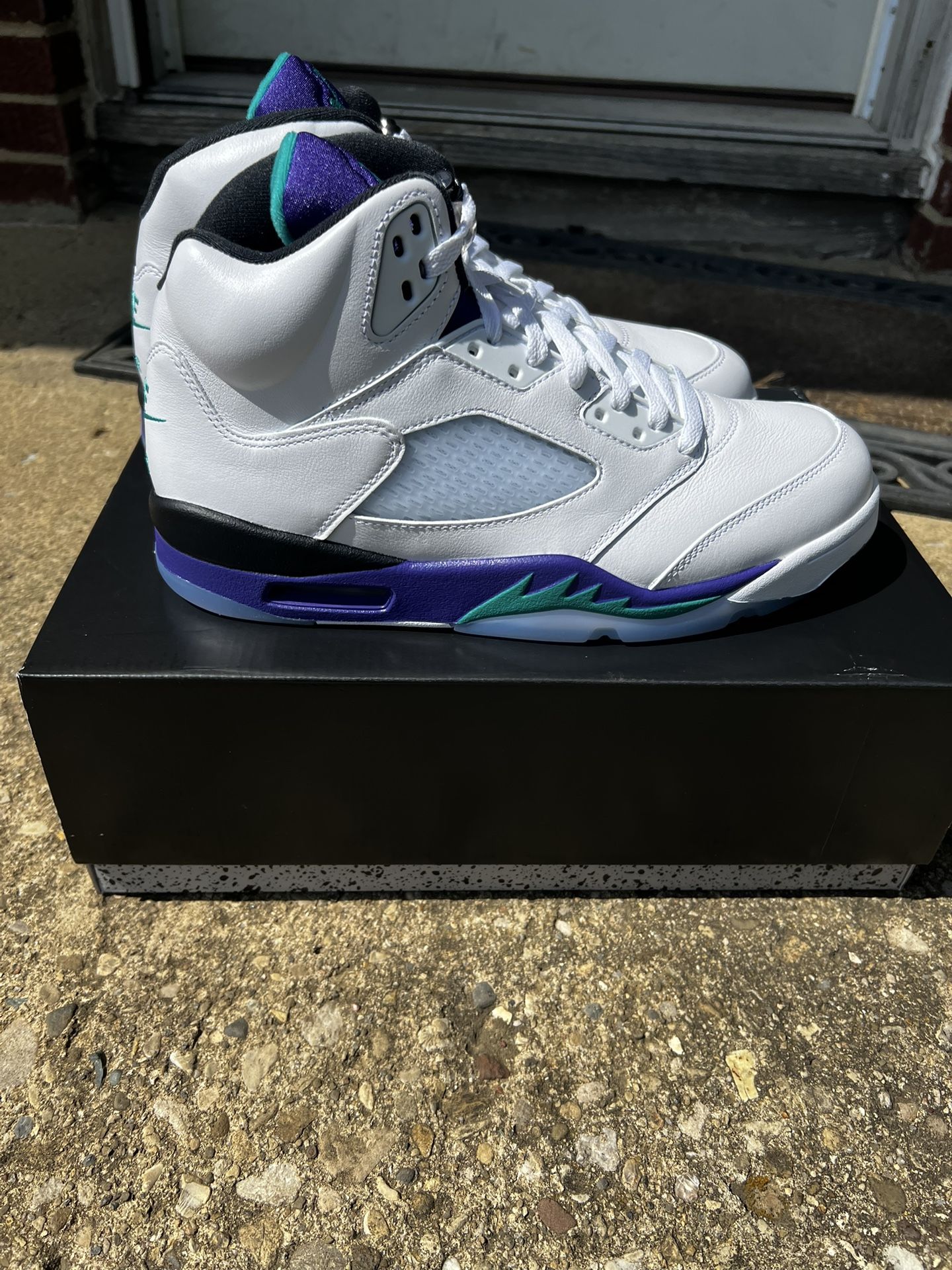 Nike Air Jordan 5 “Grape” (2025) Size 10.5
