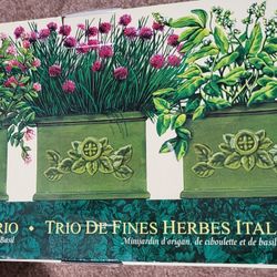 Italian Herb Trio Garden