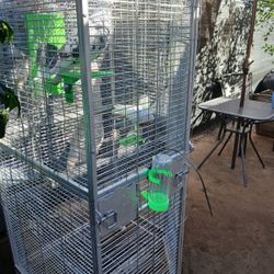 BIRD CAGE & ROLLER P.I.G.E.O.N.S