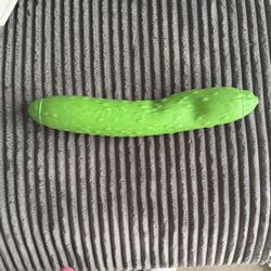 REAL orb Pickle Squishy 