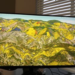 2 *LG Ergo 32 Inch 4k Monitors With Mouting Arms