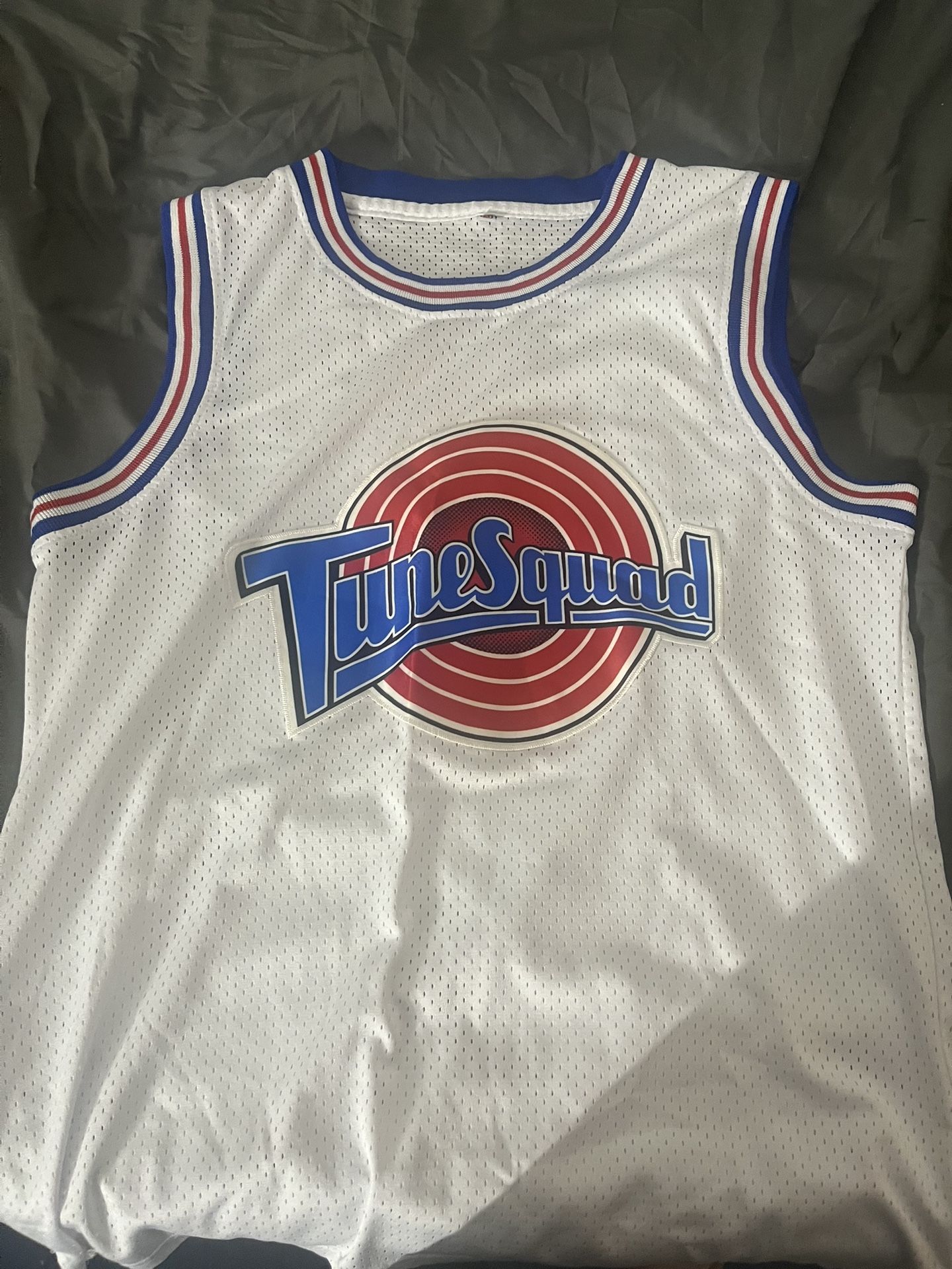 Tune Squad White/blue Medium Used And Has A Little Stains That Are Barely Noticeable