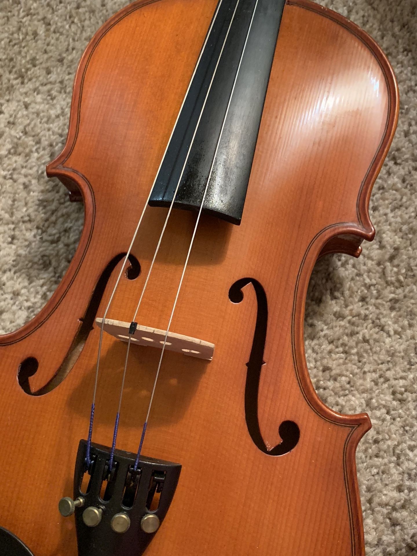 Beginner Violin