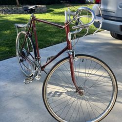 1975 Schwinn Varsity Road bike