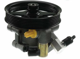 1pc Power Steering Pump Iron with Pulley V8 4.6L 5.4L F2AZ3A674C_F1VY3A674B_F F2AZ3A674C 20-260