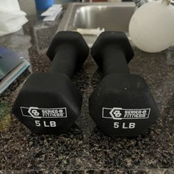 pair of 5 pound dumbbells 