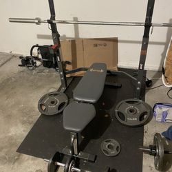 Bench Press, Weights, Weight Rack, Curling Bar 