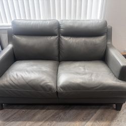 Living spaces couches 