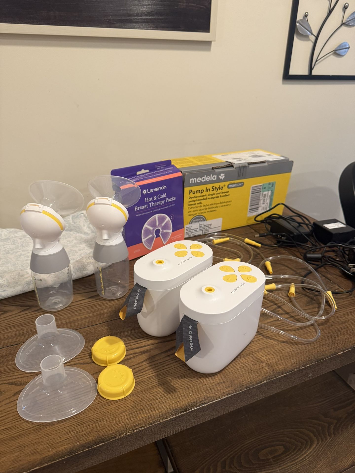 Medela Electric Pumps