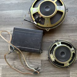 Amp