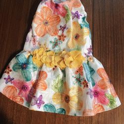 Female Dog Dresses