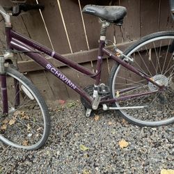 Scwhin Bike