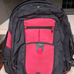 Backpack With Multiple Compartments 